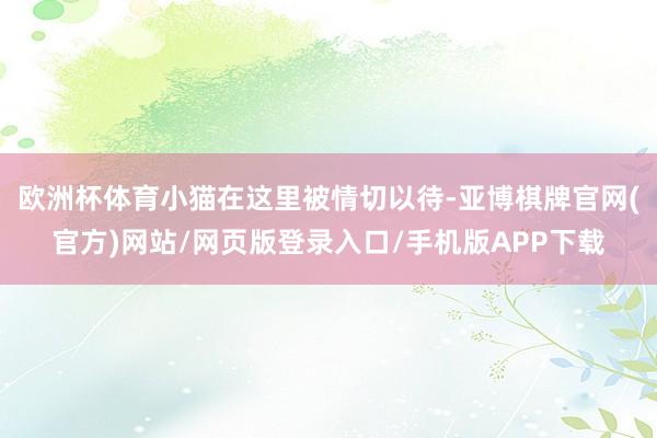 欧洲杯体育小猫在这里被情切以待-亚博棋牌官网(官方)网站/网页版登录入口/手机版APP下载